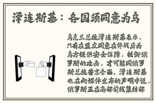 女特工电视剧全集