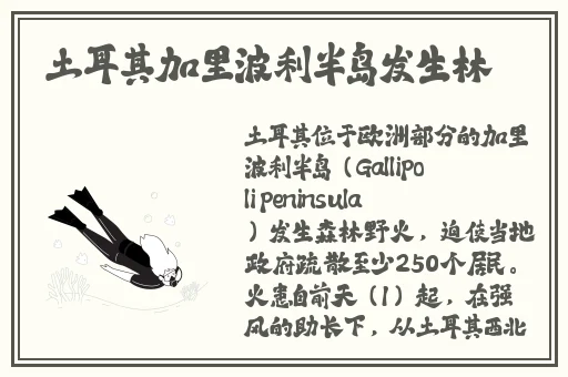 色天堂黄下载